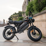 HappyRun G70 UL 2849 Certified Dual Battery Fast Electric Cargo Bike for Sale