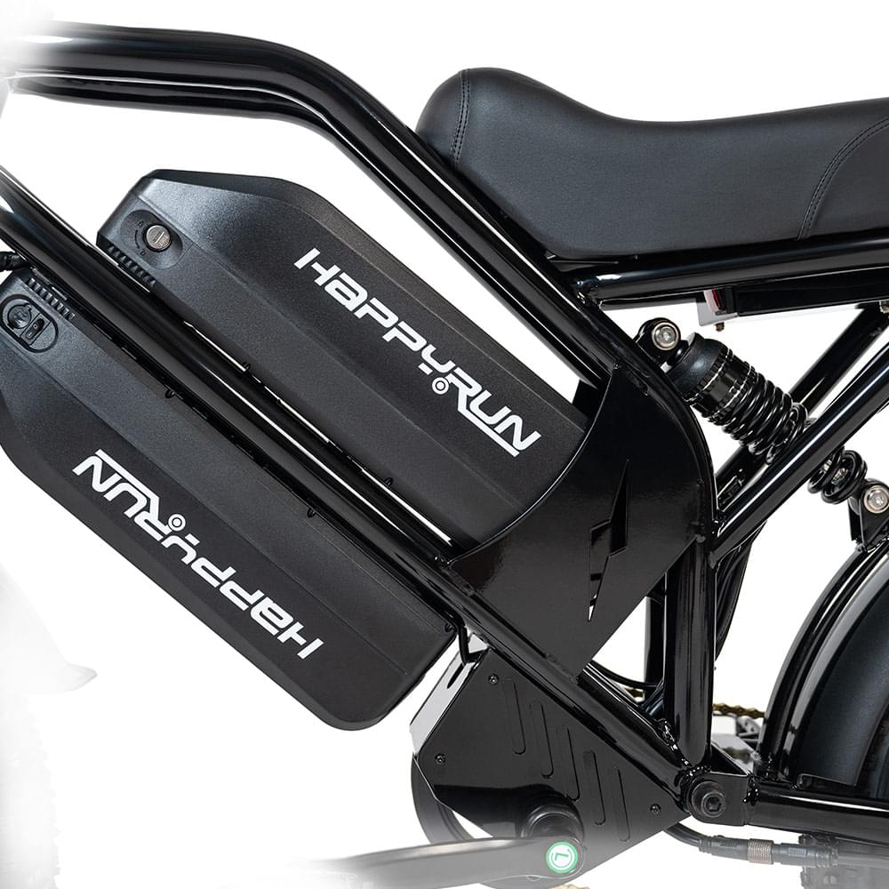 HappyRun G70 UL 2849 Certified Dual Battery Fast Electric Cargo Bike for Sale