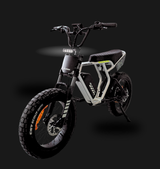 Cardin Razza R1