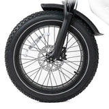 HappyRun G70 UL 2849 Certified Dual Battery Fast Electric Cargo Bike for Sale