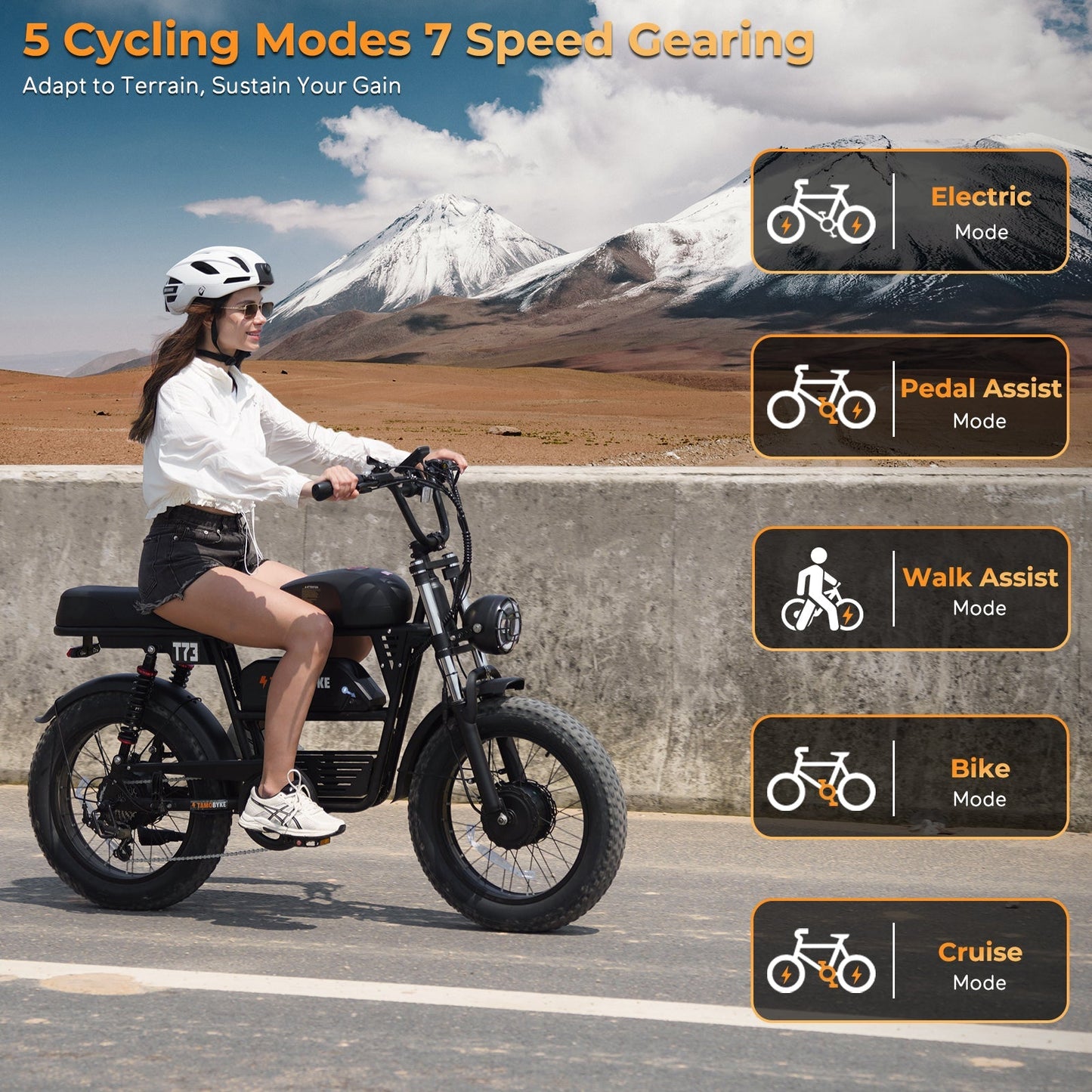 Tamobyke T73 Pro Max Electric Bike