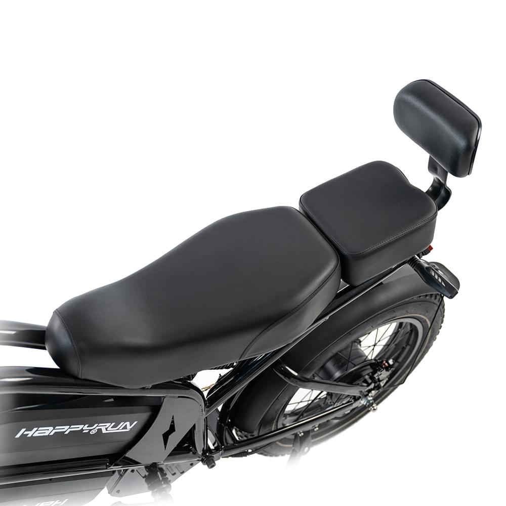 HappyRun G70 UL 2849 Certified Dual Battery Fast Electric Cargo Bike for Sale