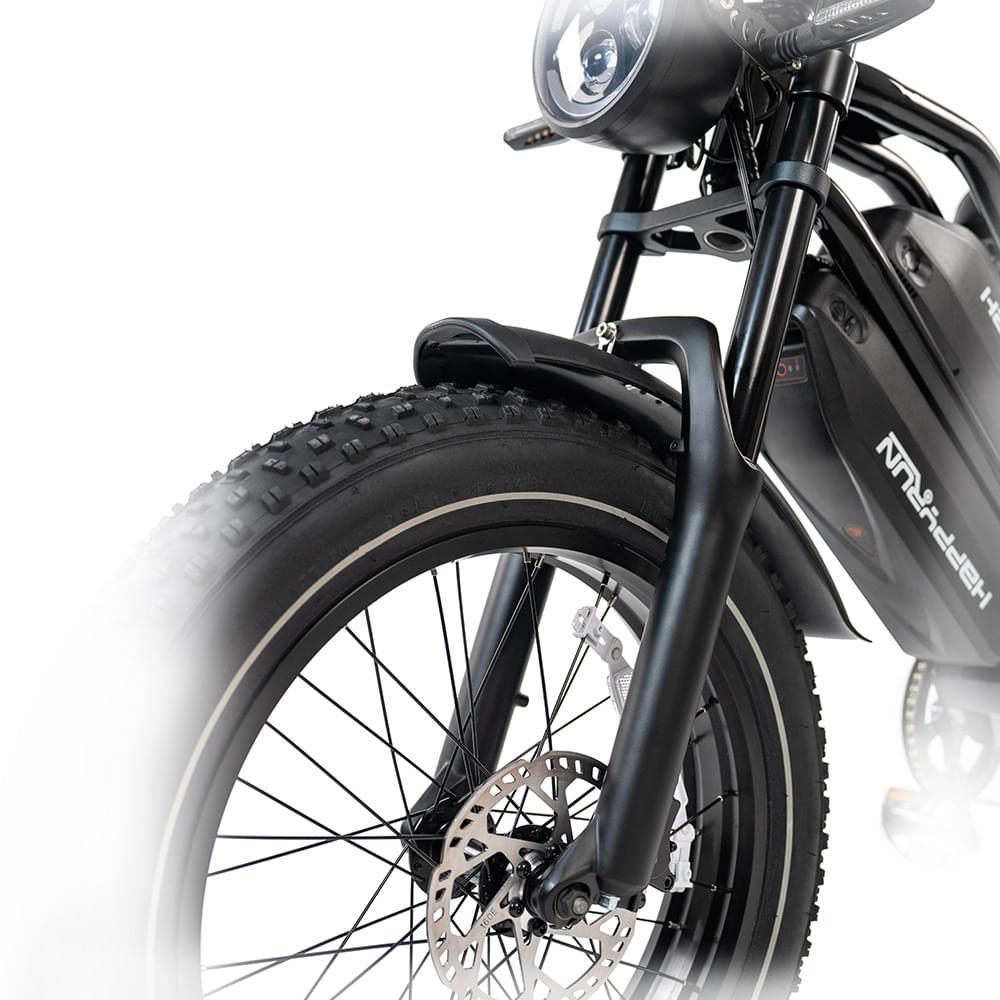 HappyRun G70 UL 2849 Certified Dual Battery Fast Electric Cargo Bike for Sale