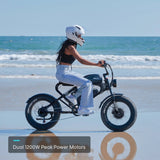 DK300MAX Long Range Ebike