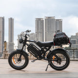 HappyRun G70 UL 2849 Certified Dual Battery Fast Electric Cargo Bike for Sale