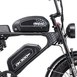 DK300MAX Long Range Ebike