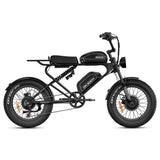 DK300MAX Long Range Ebike
