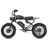 DK300MAX Long Range Ebike