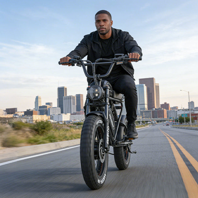 DK300MAX Long Range Ebike
