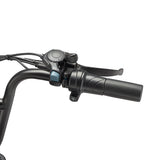 Combo Sale Happyrun Tank G60